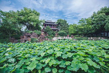 曾园赵园第 4 张图片