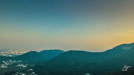 树山生态村第 56 张图片