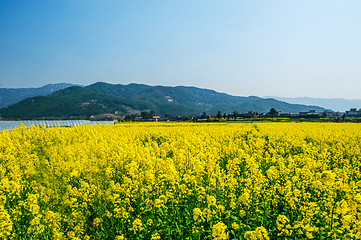 安义古村群景区第 41 张图片