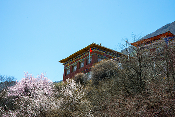 雅鲁藏布大峡谷第 89 张图片