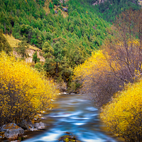 北山国家森林公园