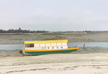北海金海湾红树林生态旅游区第 54 张图片