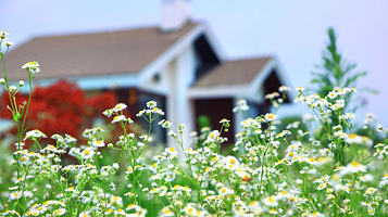 汤山翠谷现代农业示范园