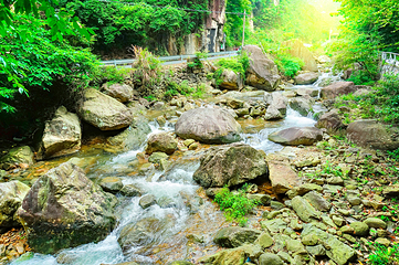 浙江大明山地质公园第 134 张图片