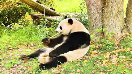 长沙生态动物园第 17 张图片