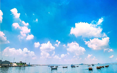 桑沟湾海洋牧场第 1 张图片