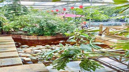 嘉禾水立方第 2 张图片