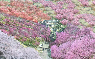 梅岭太阳谷第 46 张图片