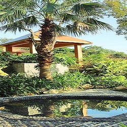 惠州罗浮山嘉宝田218线森林温泉谷