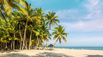 东郊椰林风景区