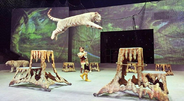 《欢乐马戏》演出