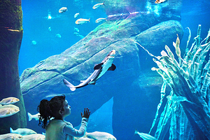 蒙特利尔自然生态博物馆