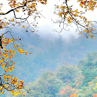 东拉山大峡谷