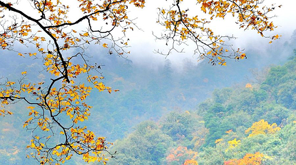 东拉山大峡谷第 1 张图片