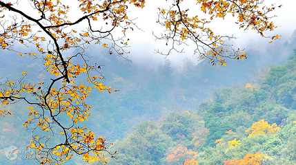 东拉山大峡谷第 2 张图片