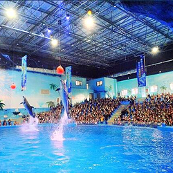 荆州小梅沙海洋馆