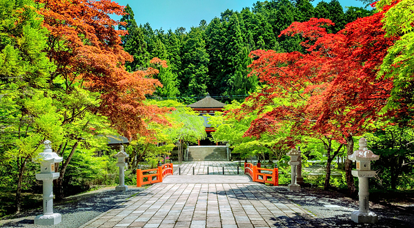 高野山