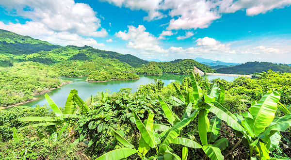 海南百花岭热带雨林文化旅游区