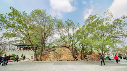 厝石山公园第 1 张图片