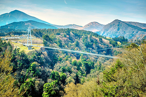 九重“梦”大吊桥