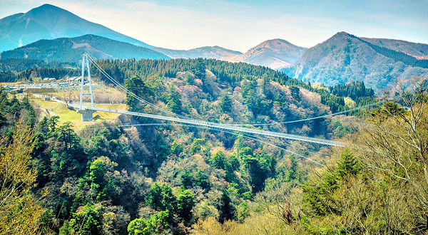 九重“梦”大吊桥