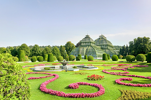 维也纳美泉宫橘园