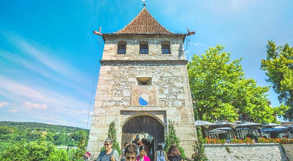 Laufen Castle at the Rheinfalls