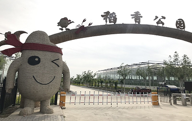 稻香农谷第 21 张图片