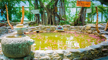 沙温泉度假村第 28 张图片