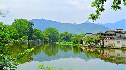 水圳第 1 张图片