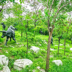 原山国家森林公园