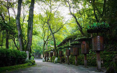 龙岩东肖森林公园第 9 张图片