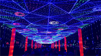 豪泽国际郁金香花海欢乐城第 41 张图片