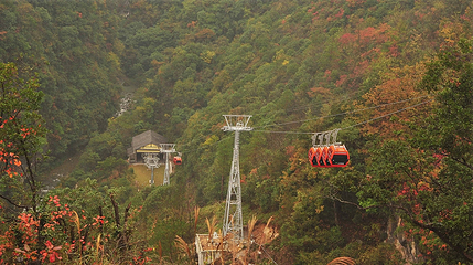 九路寨生态旅游区第 102 张图片
