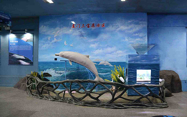 厦门鼓浪屿海底世界第 16 张图片