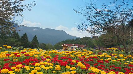 九重花岭景区第 11 张图片