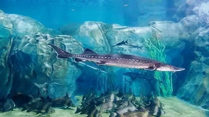 海上世界第 3 张图片