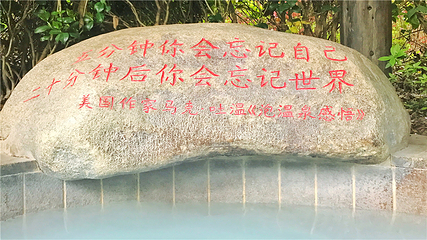 宁乡灰汤紫龙湾温泉度假区第 15 张图片