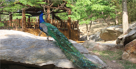 连云港市连岛景区第 68 张图片