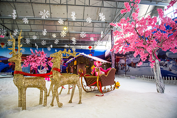 飘雪世界第 9 张图片