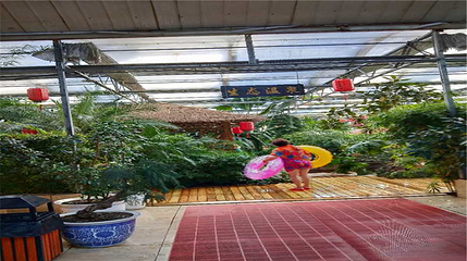 嘉禾水立方第 8 张图片