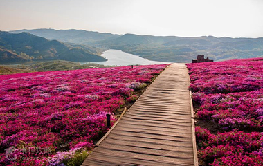 沐心双马山旅游度假区第 4 张图片