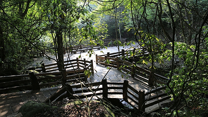 雁南飞茶田景区-桥溪古韵第 33 张图片