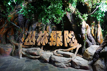 南昌海洋公园第 12 张图片