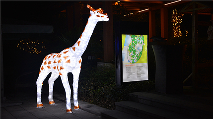 汇川国际温泉旅游城第 31 张图片