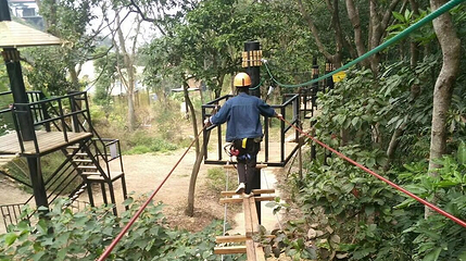 南丹山森林王国第 55 张图片