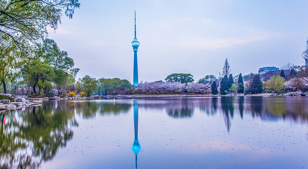 中央广播电视塔