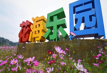 桃源里旅游度假区-花海乐园第 16 张图片