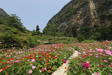 盐井河景区第 26 张图片