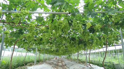 云谷生态园第 27 张图片